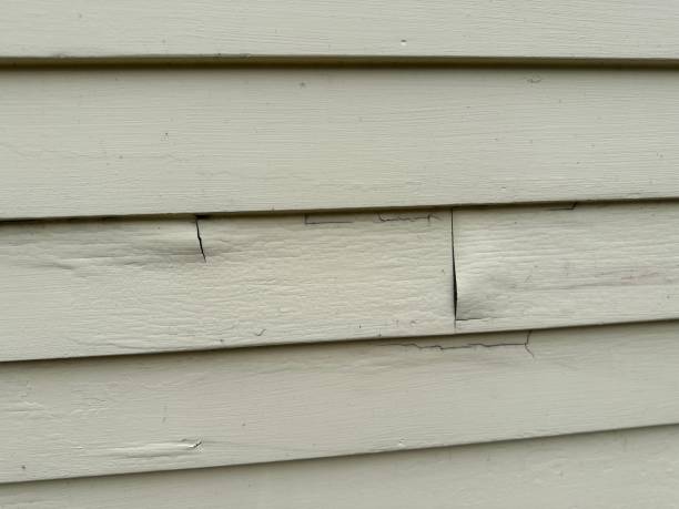 Best Siding Painting and Refinishing  in Berlin, NH